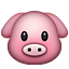 pig.png